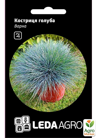 Овсяница голубая "Варна"  ТМ "Leda Agro" 0,2г