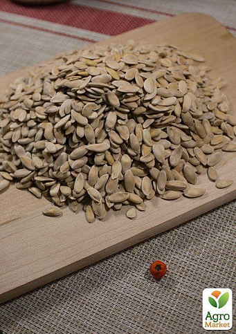 На вагу Диня "Титовка" ТМ "Весна" ціна за 6г - фото 3