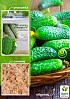 Огірок "Муравей F1" (Зипер) ТМ "Весна" 10шт