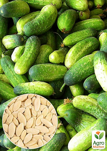 На развес Огурец  "Гном" ТМ "Весна" цена за 1г