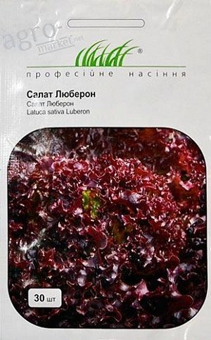 Салат "Люберон" ТМ "Hem Zaden" 30шт