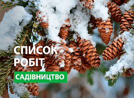 Роботи в саду в лютому - корисні статті про садівництво від Agro-Market