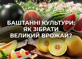 Баштанні культури, види | Agro-market