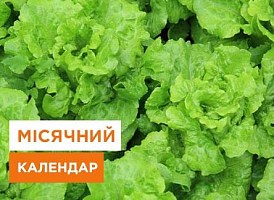 Місячний календар садівника та городника на червень 2023  - корисні статті про садівництво від Agro-Market