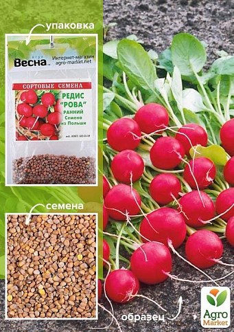 Редис "Рова" (Зипер) ТМ "Весна" 7г