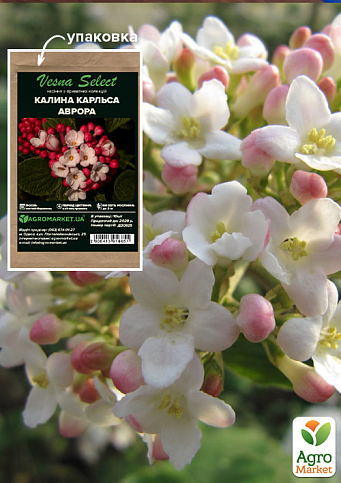 Калина Карльса "Аврора" ТМ "Vesna Select" 10шт