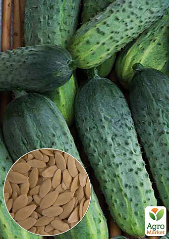 На развес Огурец "Лилипут" ТМ "Весна" цена за 2г