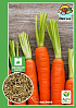 Морковь "Нантская" (Большой пакет) ТМ "Весна" 4г