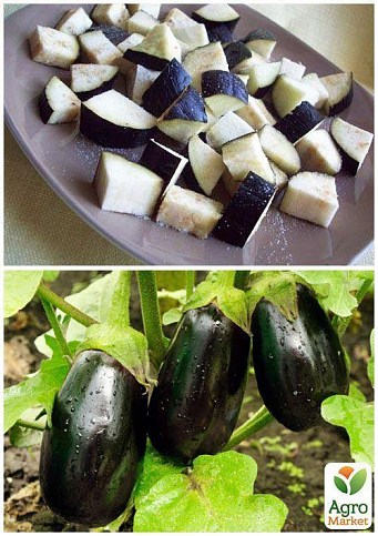 На развес Баклажан "Ультраранний" ТМ "Весна" цена за 2г - фото 3