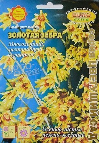 Зимоцвет ранний "Золотая зебра" ТМ "Аэлита" 0.6г