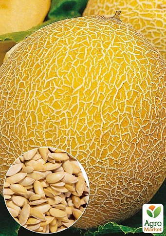 На развес Дыня "Золотистая" ТМ "Весна" цена за 6г