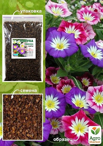 Вьюнок смесь ТМ "Весна" 100г