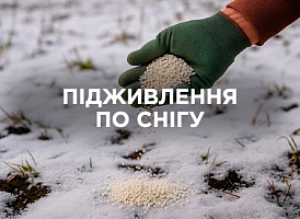 Підживлення по снігу: зимові добрива для саду та городу | Agro-market