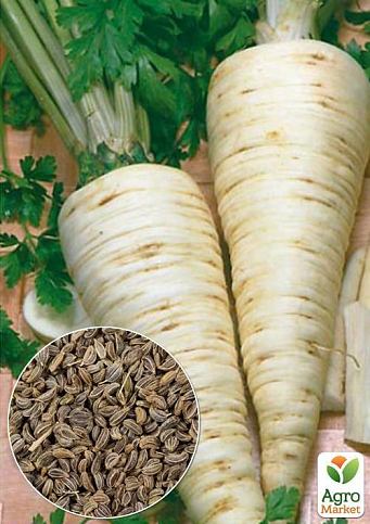 На вагу Петрушка коренева "Цукрова" ТМ "Весна" ціна за 5г