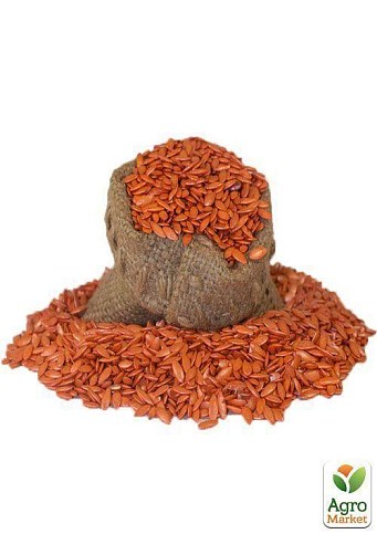 На вагу Огірок "Виноградне гроно F1" ТМ "Весна" ціна за 2г - фото 5