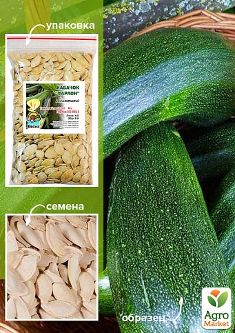 Кабачок "Фараон" ТМ "Весна" 100г