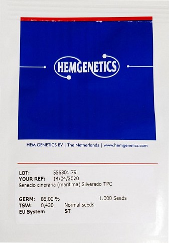Цинерарія "Сильверадо" ТМ "Hem-Genetics" 1000шт