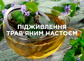 Трав'яні настої для рослин: приготування та використання | Agro-market