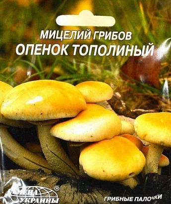 Опенок "Тополиный" ТМ "Семена Украины" 10шт