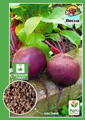 Буряк "Круглий темно-червоний" (Великий пакет) ТМ "Весна" 6г