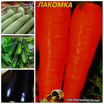 Комплект семян овощей "Овощное рагу" 10уп