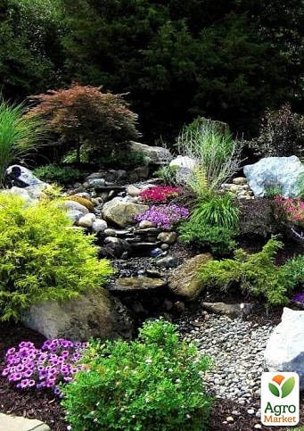 Комплект растений "Рокарий" (Rockery)