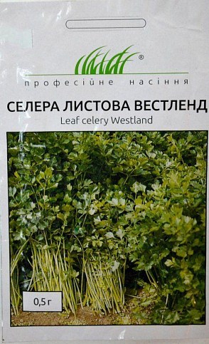 Сельдерей листовой "Вестленд" ТМ "Hem Zaden" 0.5г