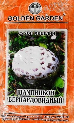 Сухий міцелій "Шампіньйон Бернардовідний" ТМ "Golden Garden" 10г