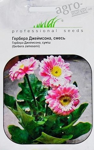 Гербера "Джеймсона"смесь ТМ "HEM Zaden" 0.1г