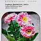 Гербера "Джеймсон" суміш ТМ "HEM Zaden" 0.1г