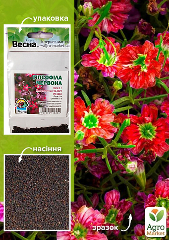 Гіпсофіла червона (Зипер) ТМ "Весна" 1г