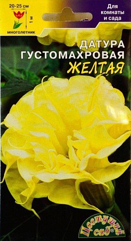 Датура густомахрова "Жовта" ТМ "Квітучий сад" 4шт