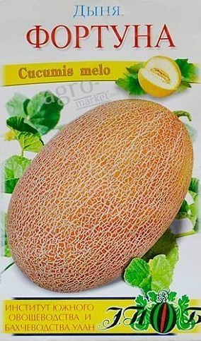 Дыня "Фортуна" ТМ "Солнечный март" 25шт