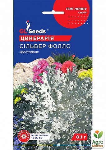 Цинерария "Сильвер фоллс" ТМ "GL SEEDS" 0.1г