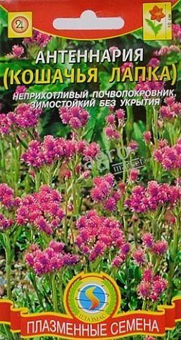 Антеннария "Кошачья лапка" ТМ "Плазмас" 80шт