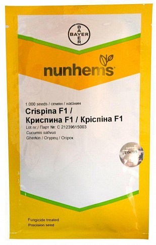 Огірок "Кріспіна F1" ТМ "Nunhems" 1000шт