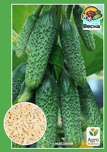 Огірок "Веселі гномики F1" (Новий пакет) ТМ "Весна" 0.25г