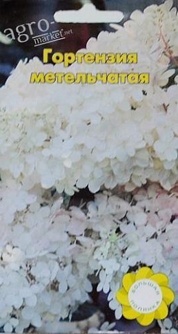 Гортензия "Метельчатая" ТМ "Большая полянка" 10шт