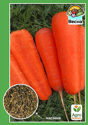 Морква "Карлена" ТМ "Весна" 2г