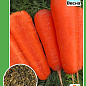 Морковь "Карлена" ТМ "Весна" 2г