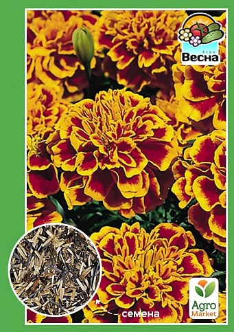 Чорнобривці "Фієста" ТМ "Весна" 0.3г