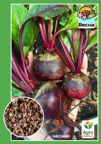 Свекла "Бычья кровь" (Новый пакет) ТМ "Весна" 2г