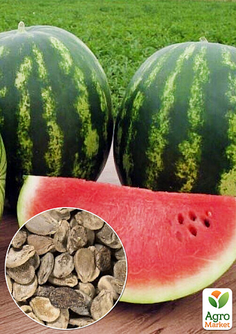 На развес Арбуз "Фарид" ТМ "Весна" цена за 6г