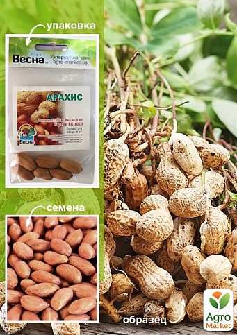 Арахис (Зипер) ТМ "Весна" 6шт