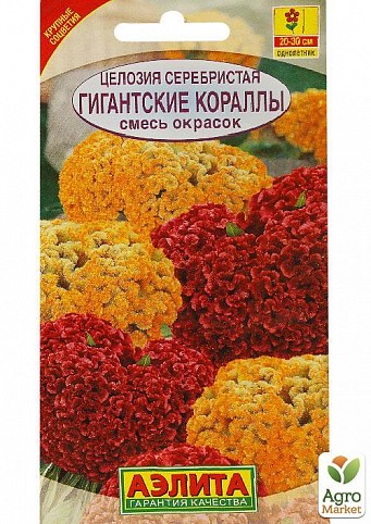 Целозия серебристая "Гиганский кораллы" ТМ "АЭЛИТА" 0.2г