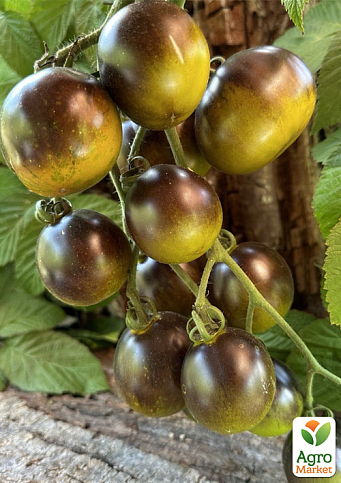 Томат "Kryptonite" ТМ "Vesna Select" 20шт