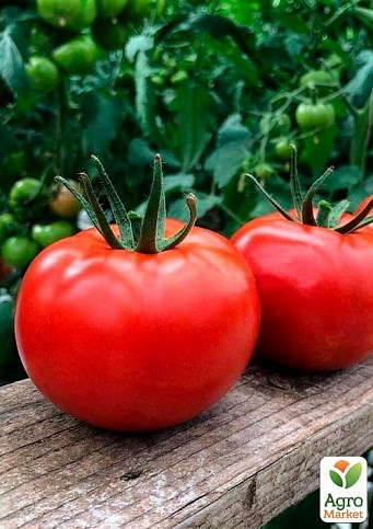 Томат индетерминантный "Клад F1" ТМ "Lark Seeds" 1000шт