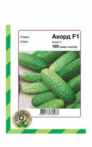 Огірок "Акорд F1" ТМ "Nunhems" 100шт
