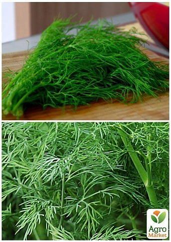 На развес Укроп "Шмарагд" ТМ "Весна" цена за 20г - фото 2