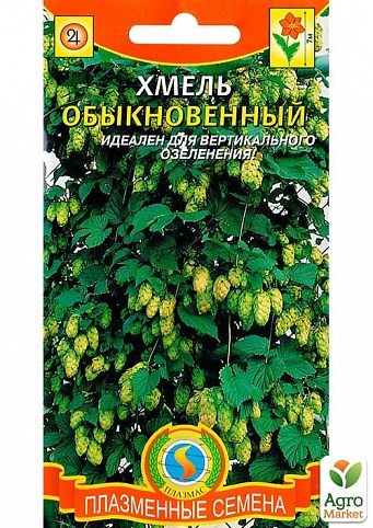 Хмель обыкновенный ТМ "Плазменные семена" 4шт NEW